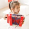 Accordéon bleu - New Classic Toys