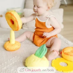 Ananas multi-textures à empiler - Melissa & Doug