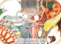 Animaux familiers en folie - Puzzle Michèle Wilson