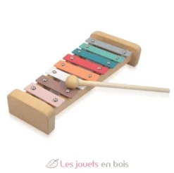 Apprends à jouer du xylophone - Sassi Junior