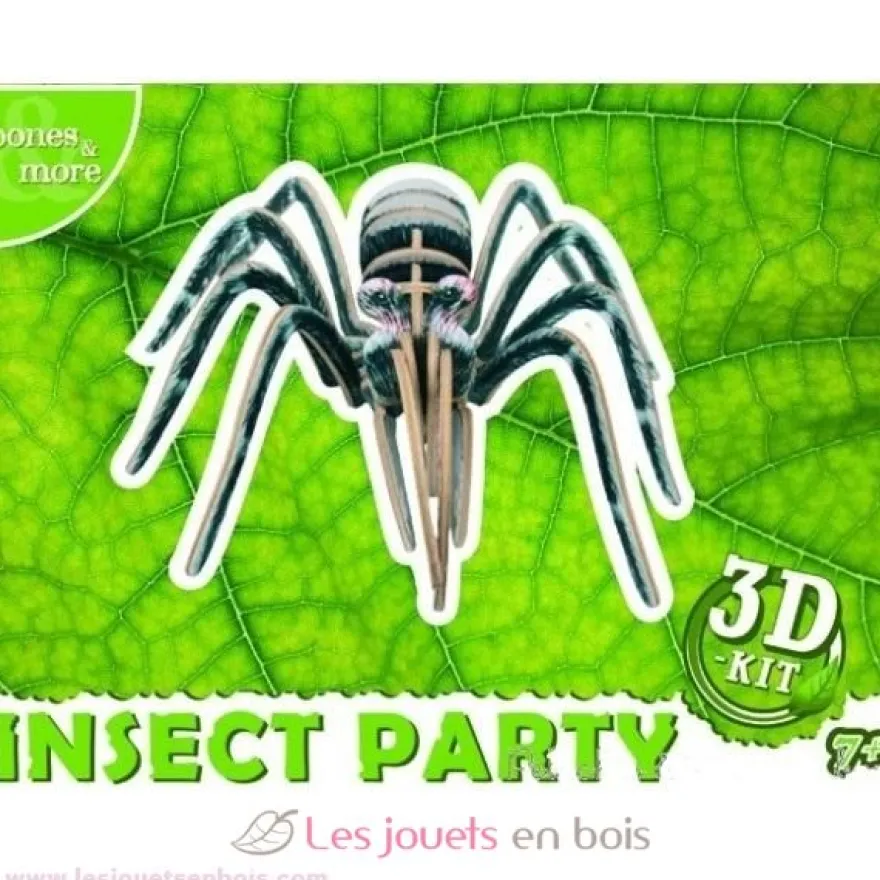 Araignée Mygale 3D - Bones & More