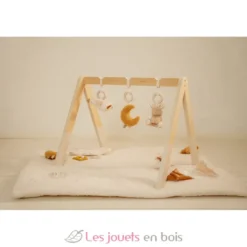 Arche d’éveil en bois Newborn - Little Dutch