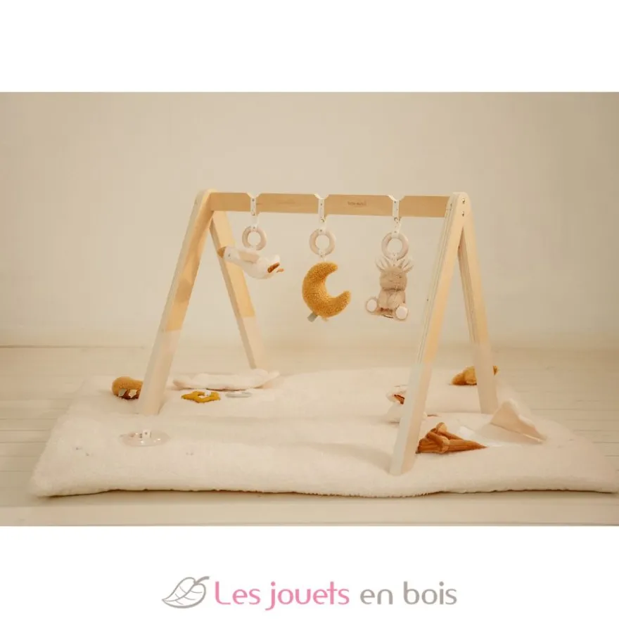 Arche d’éveil en bois Newborn - Little Dutch