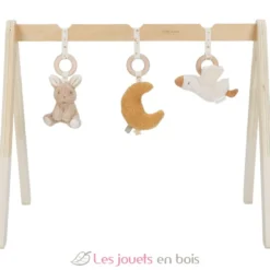 Arche d’éveil en bois Newborn - Little Dutch