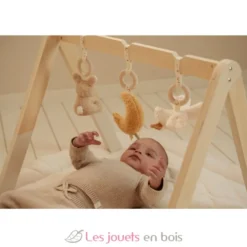 Arche d’éveil en bois Newborn - Little Dutch