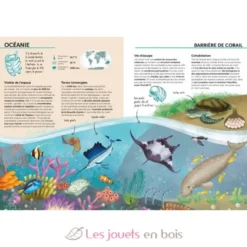 Atlas de la Biodiversité - Ecosystèmes à protéger - Sassi Junior