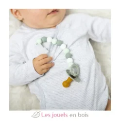 Attache tétine silicone menthe blanc - Nattou