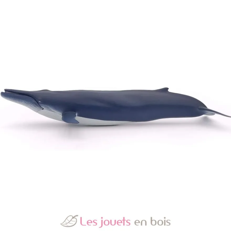 Baleine bleue - Papo