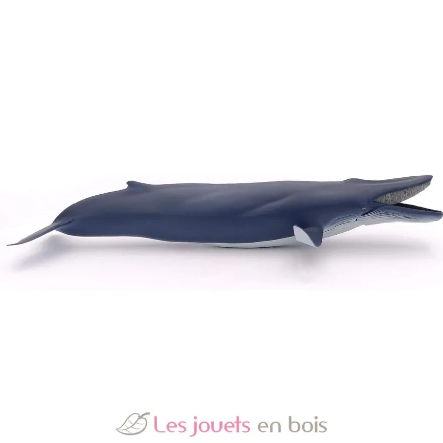Baleine bleue - Papo