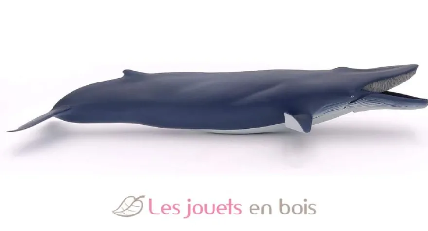 Baleine bleue - Papo
