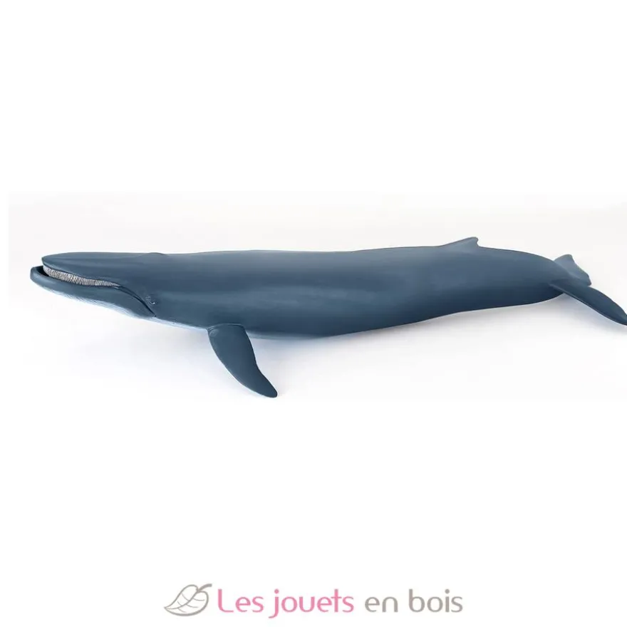 Baleine bleue - Papo