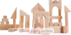 Blocs de construction 50 pièces - Plan Toys