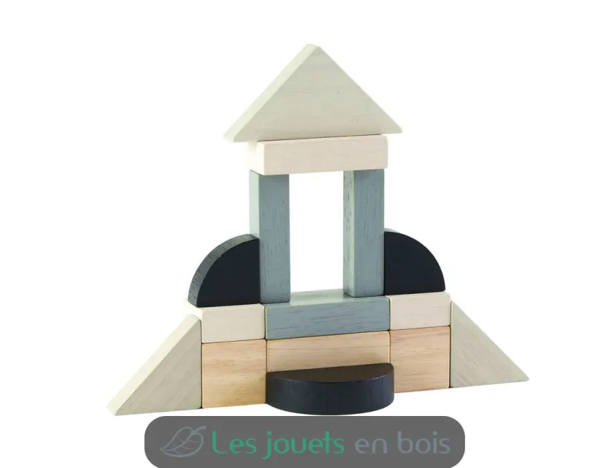 Blocs fraction - Plan Toys