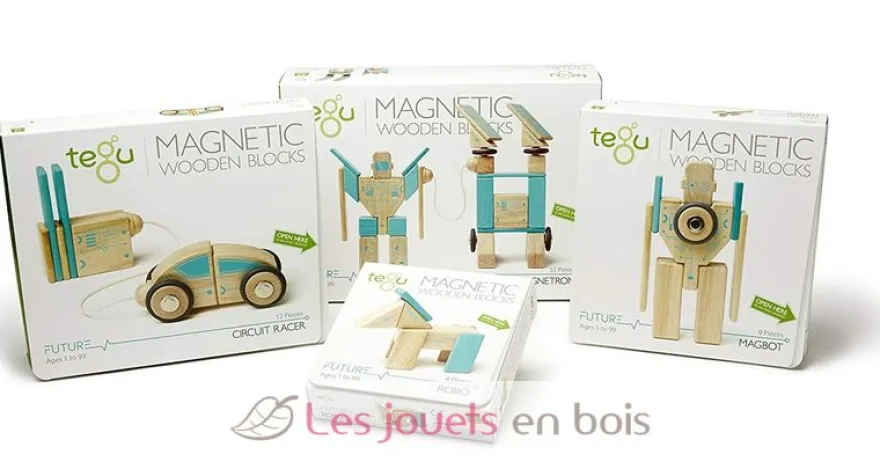 Blocs magnétiques Magbot - Tegu