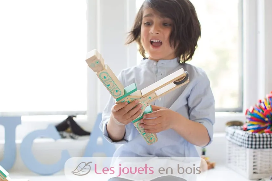 Blocs magnétiques Magbot - Tegu