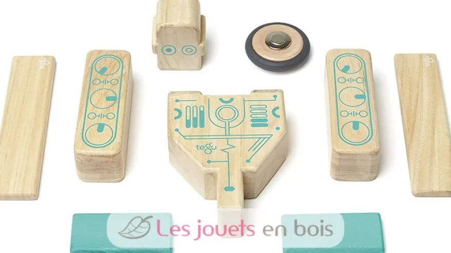 Blocs magnétiques Magbot - Tegu