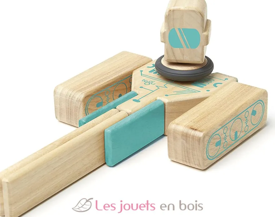 Blocs magnétiques Magbot - Tegu