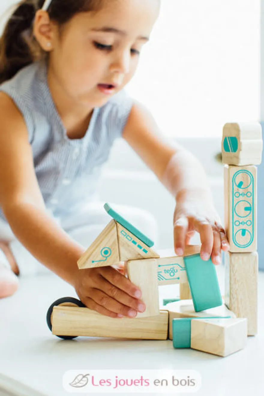 Blocs magnétiques Robo - Tegu