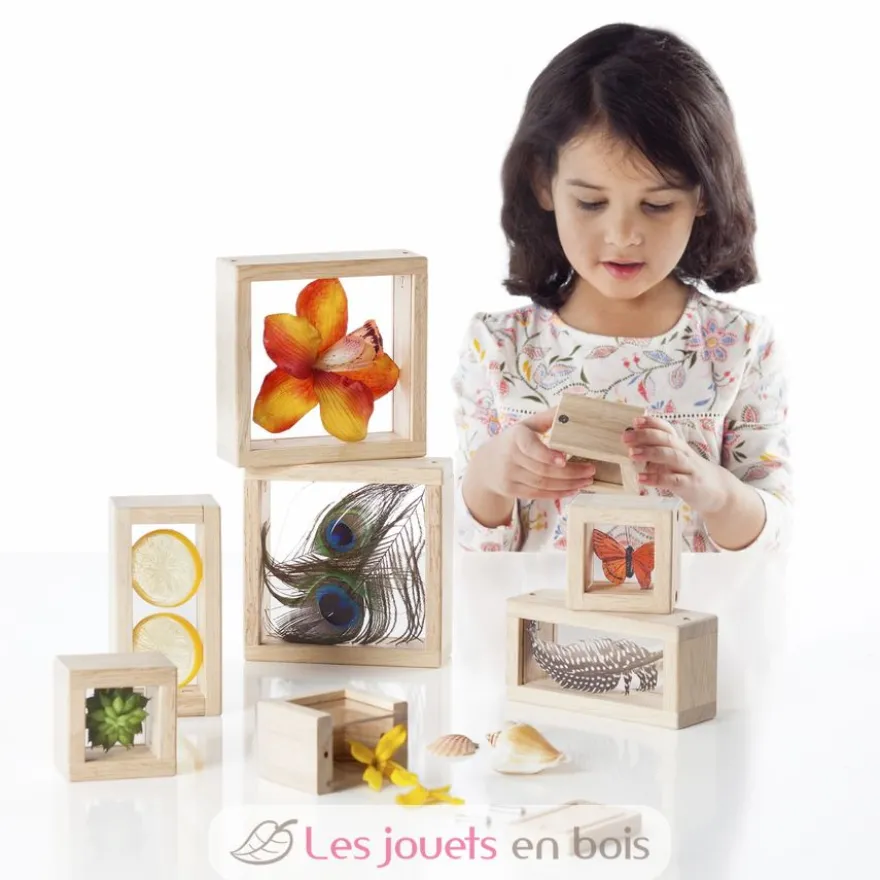 8 Blocs à trésors - Guidecraft