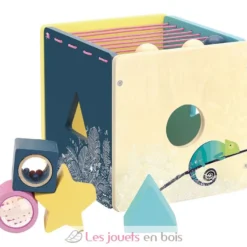 Boite à formes d'éveil Sous la Canopée - Vilac