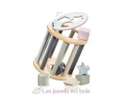 Boite à formes étoilée - Selecta
