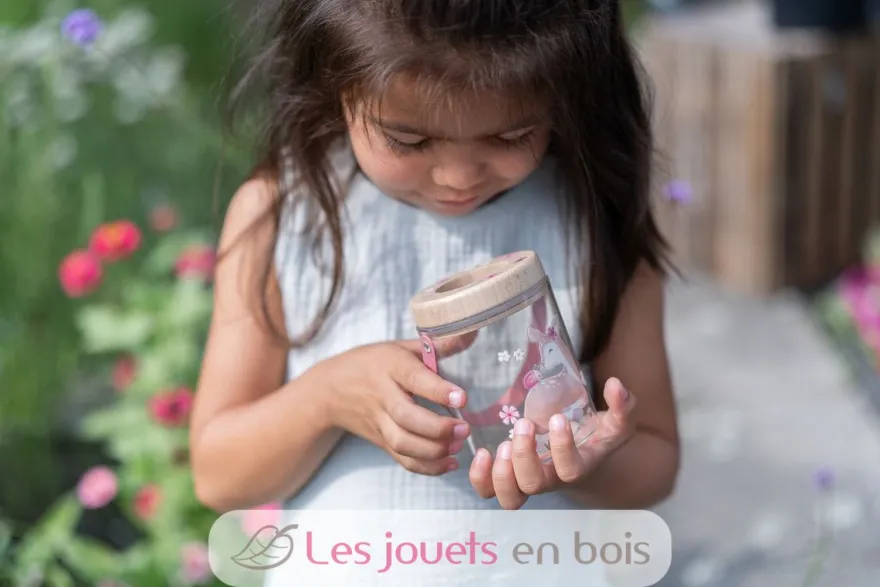 Boite à insectes Fairy Garden - Little Dutch