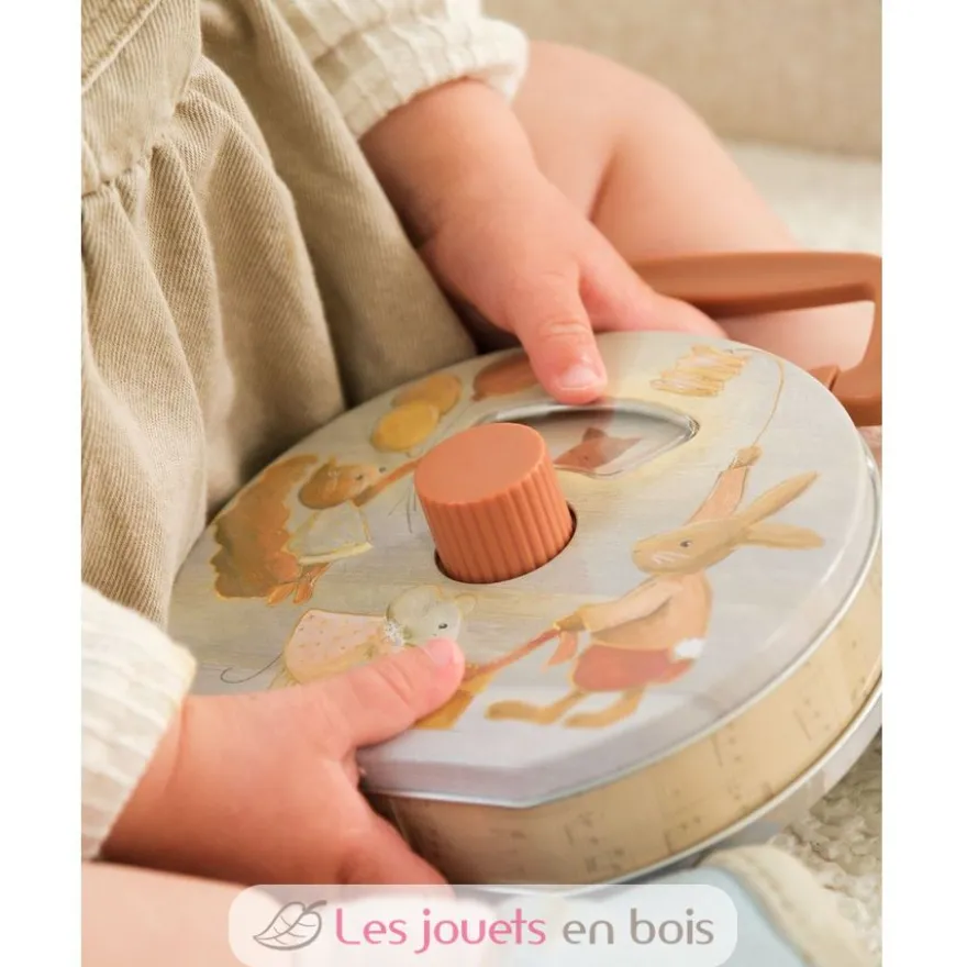 Boite à musique en métal Animaux - Egmont Toys