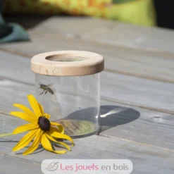 Boite observation insectes avec loupe - Esschert Design