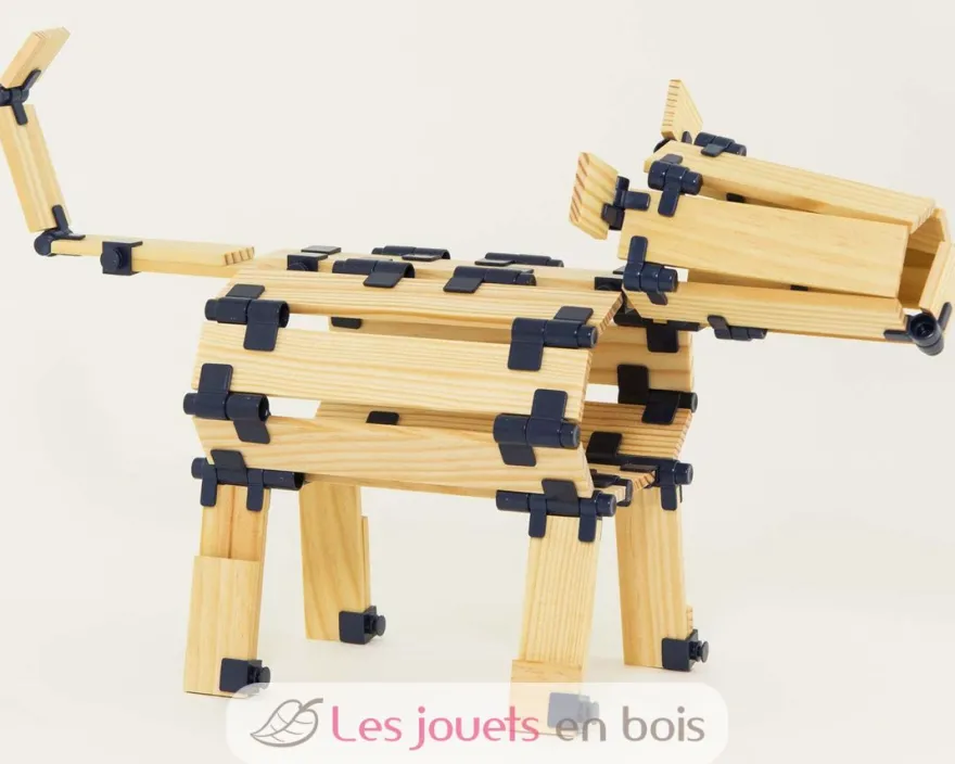 Boite 190 pièces TomTecT - TomTecT