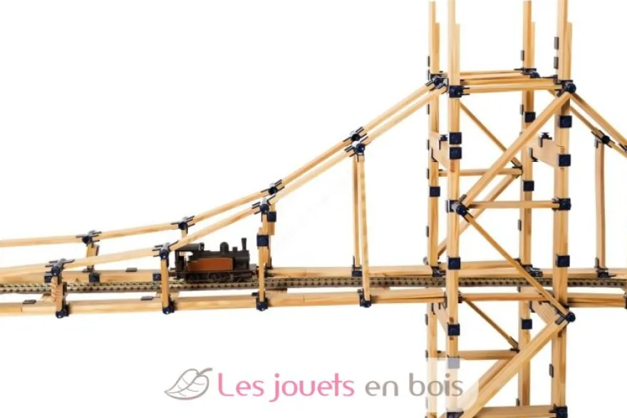 Boite 1000 pièces TomTecT - TomTecT