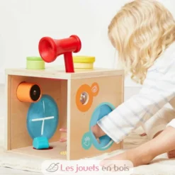 Boite sensorielle - Janod