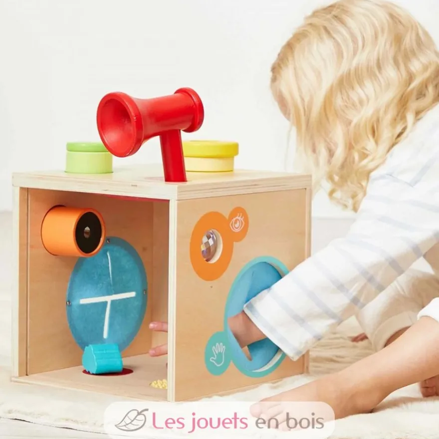 Boite sensorielle - Janod