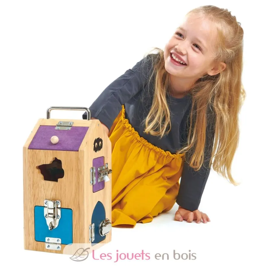 Boîte de verrouillage Monstres - Tender Leaf Toys