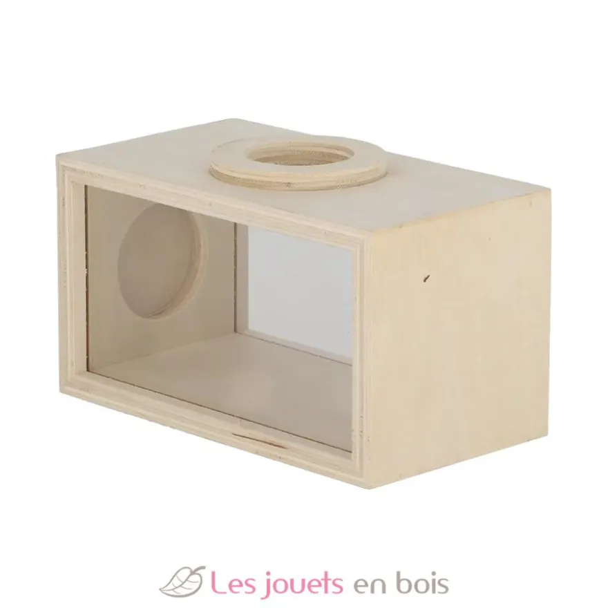 Boîte d'observation des insectes en bois - Esschert Design