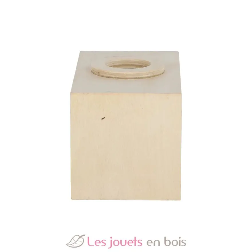 Boîte d'observation des insectes en bois - Esschert Design