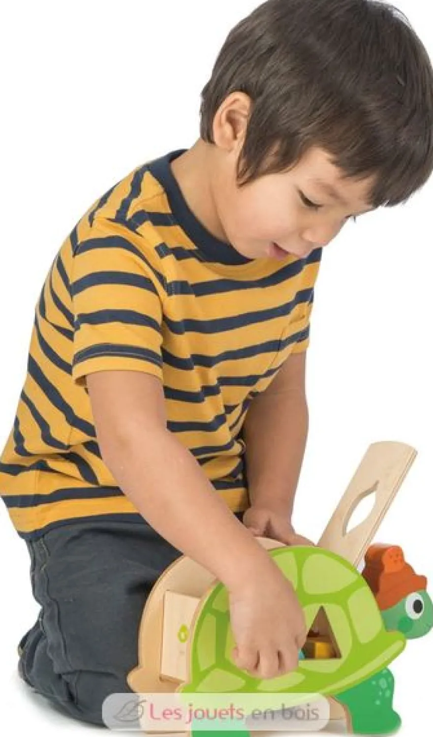 Boîte à formes Tortue - Tender Leaf Toys