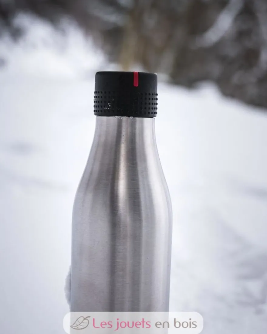 Bouteille isotherme Argentée 750 ml - Les Artistes Paris