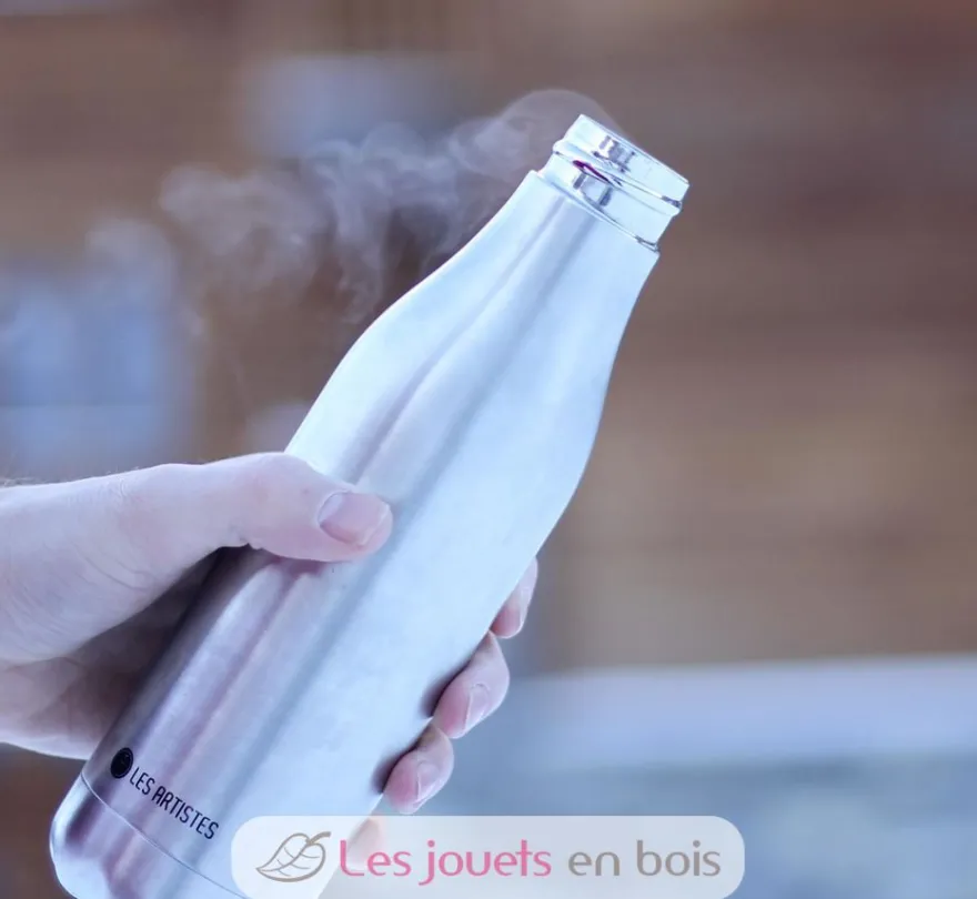 Bouteille isotherme Argentée 750 ml - Les Artistes Paris