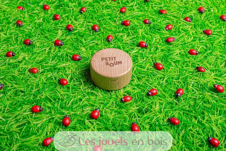 Bouteille sensorielle Sound Coccinelles - Petit Boum