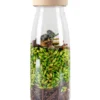 Bouteille sensorielle Spy Jungle - Petit Boum