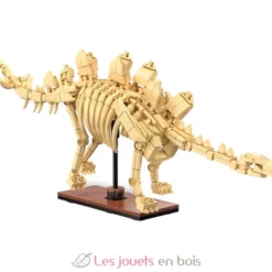 CaDA Creative - Squelette de Stégosaure 297 pièces - Dès 8 ans
