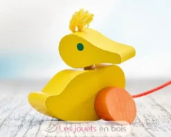 Canard à tirer - Selecta