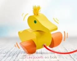 Canard à tirer - Selecta