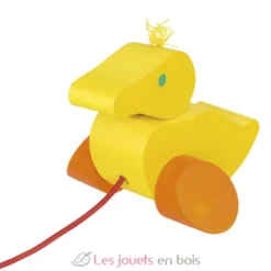 Canard à tirer - Selecta