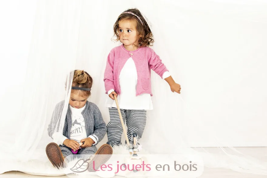 Carrousel étoilé à pousser - Selecta