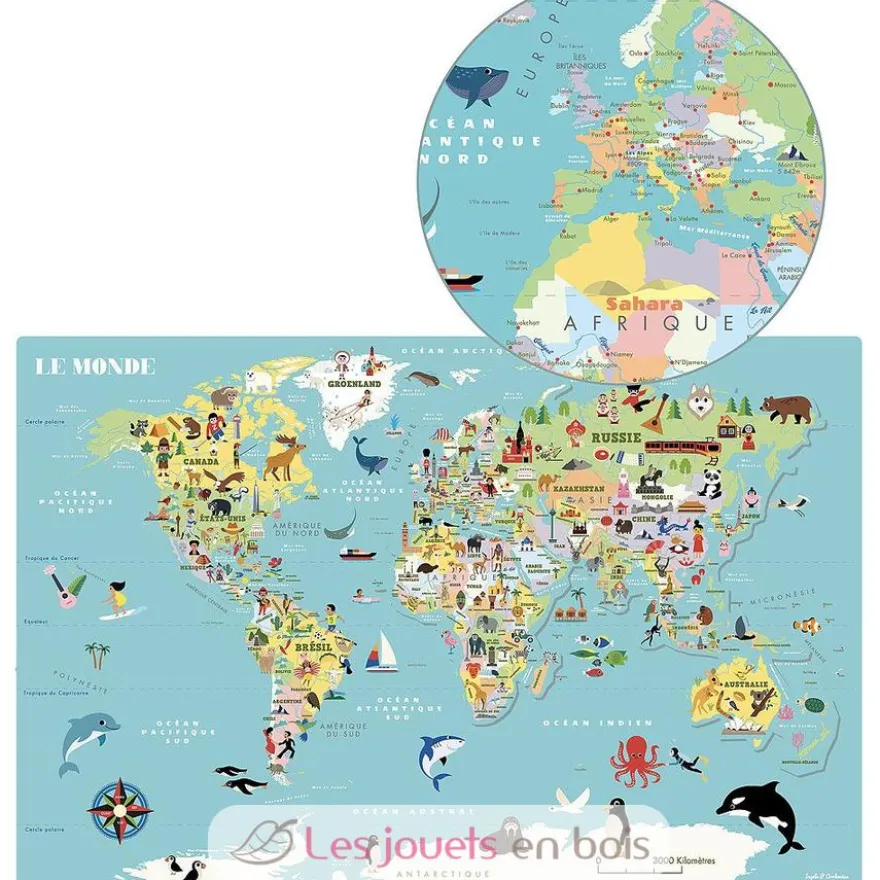Carte du Monde magnétique Ingela P. Arrhenius - Vilac