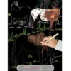 Cartes à gratter Les chevaux - Piccolia