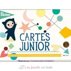 Cartes souvenirs - Junior - Milestone