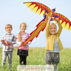 Cerf-volant Dragon 3D avec traîne - Günther