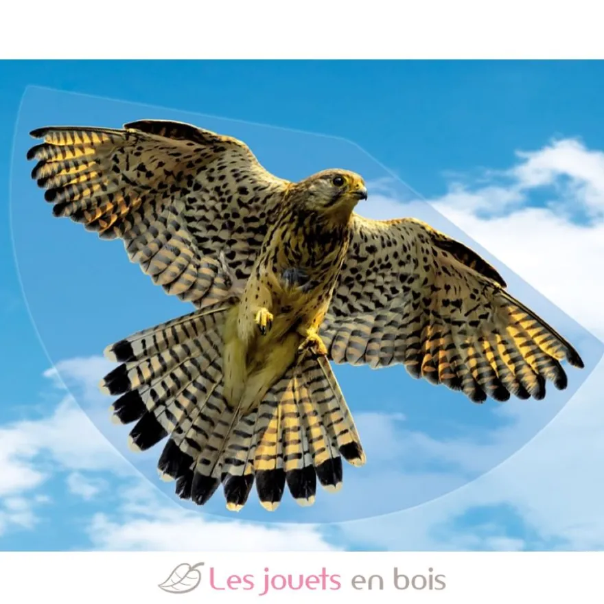 Cerf-volant pour enfant Faucon - Günther
